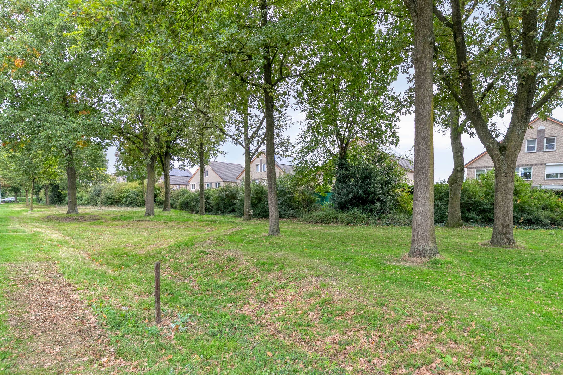 Photo 45 of Zonnedauw 4