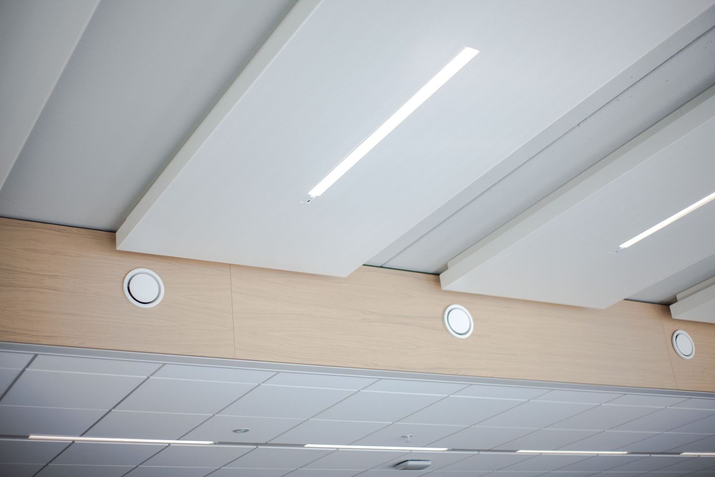 Bekijk foto 3 van Fred. Roeskestraat 100