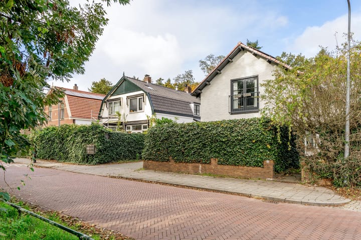 Foto 5 van Beresteinseweg 56