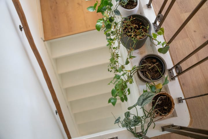 Foto 31 van Beresteinseweg 56