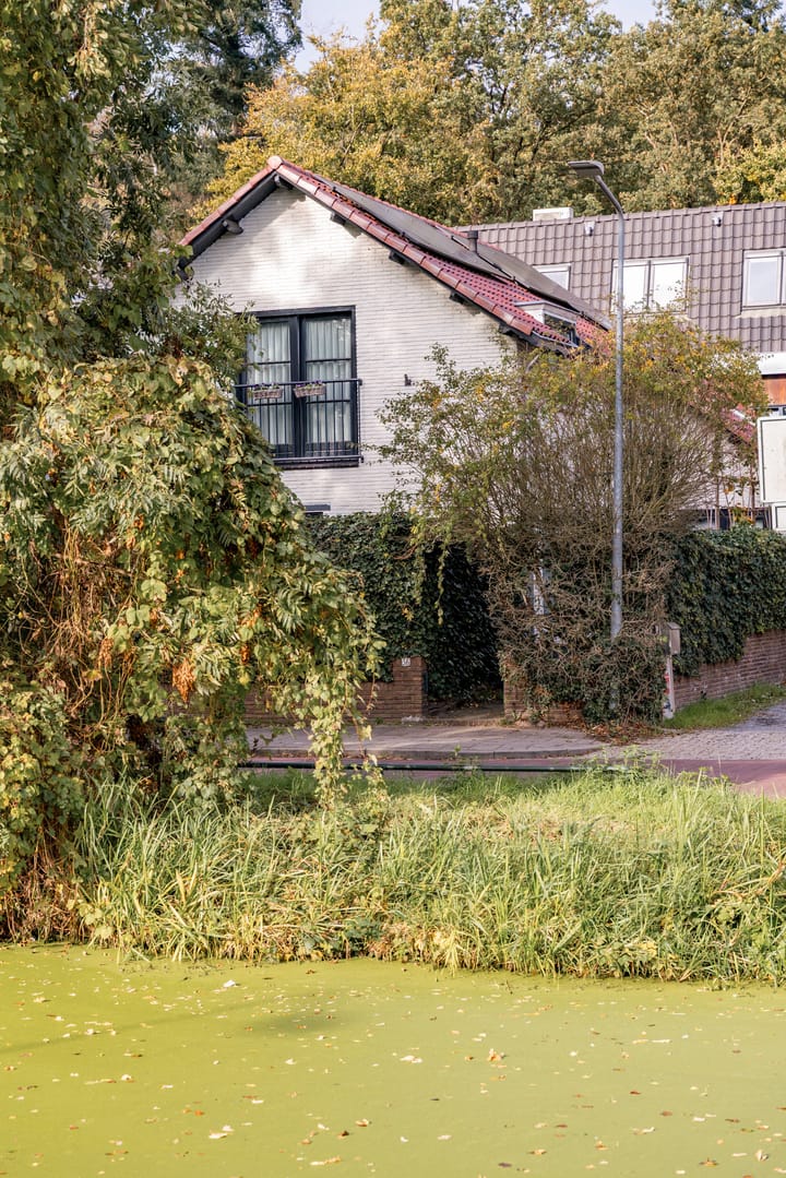 Foto 51 van Beresteinseweg 56