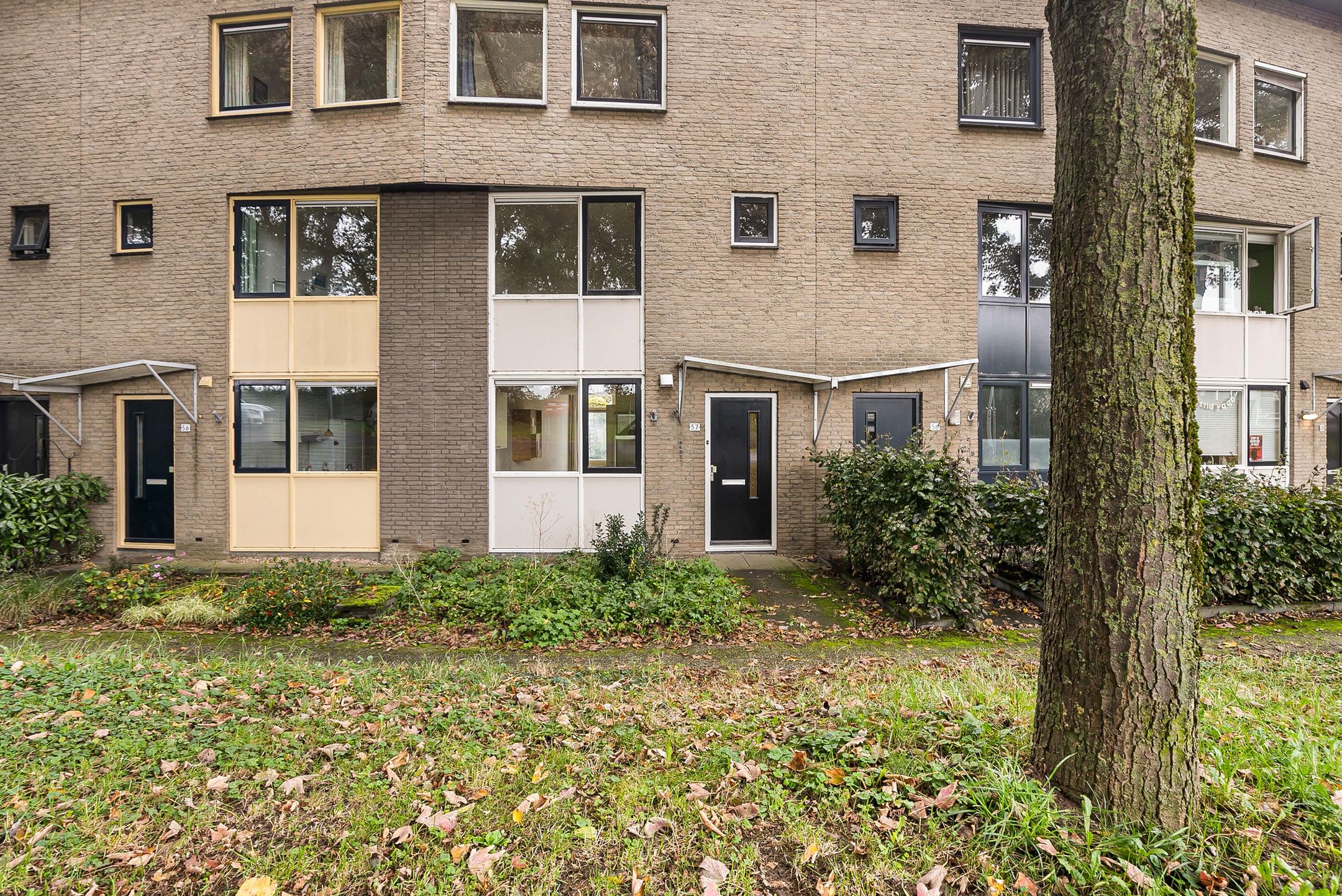 Photo 24 of Winterdijk 57