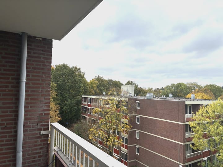 Foto 8 van De Tichel 90