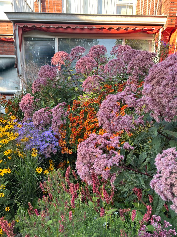 Photo 44 of Schiedamseweg 123