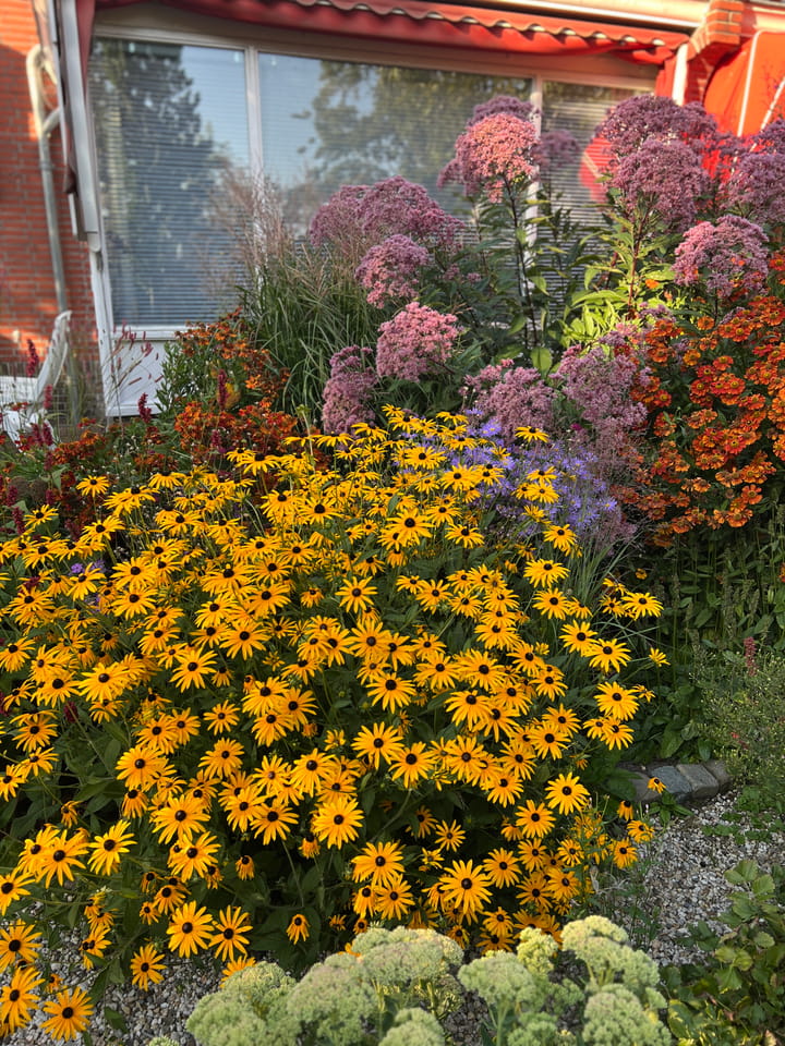 Photo 45 of Schiedamseweg 123