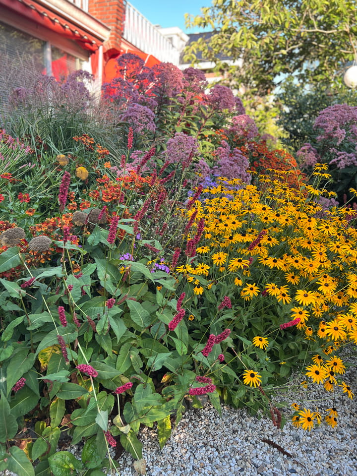 Photo 46 of Schiedamseweg 123