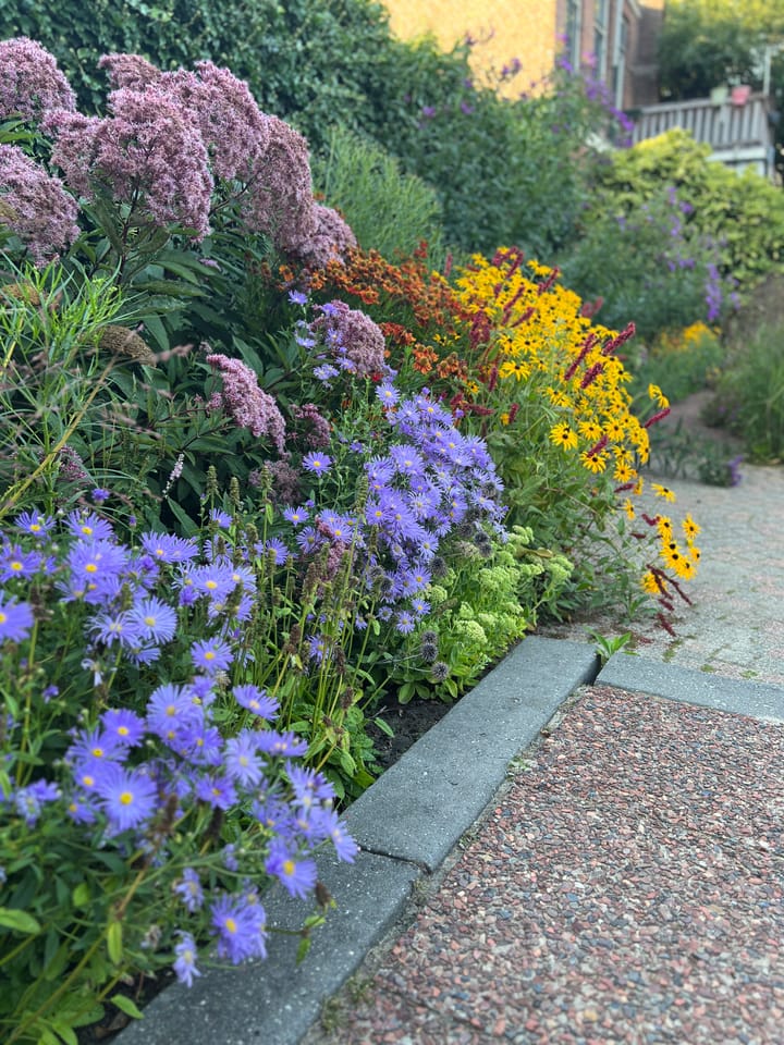 Photo 47 of Schiedamseweg 123