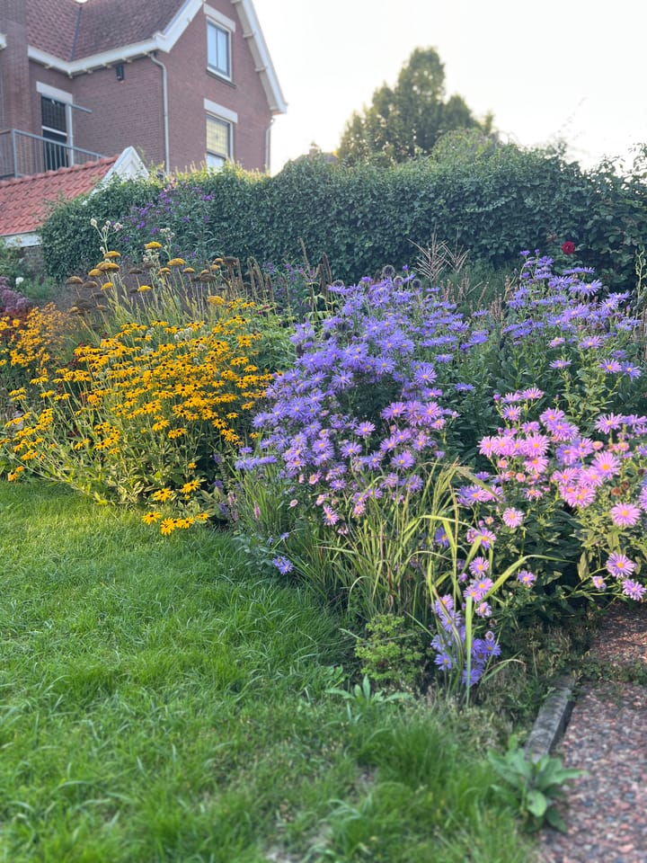 Photo 48 of Schiedamseweg 123