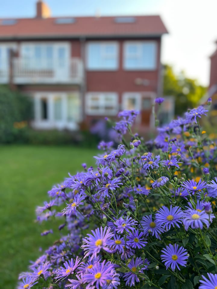 Photo 49 of Schiedamseweg 123