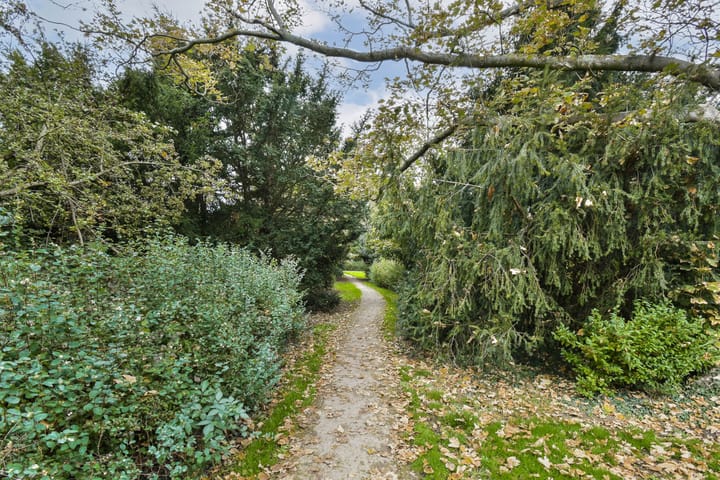 Photo 51 of Schiedamseweg 123