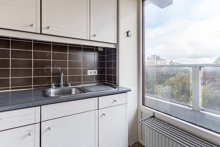 Foto 15 van Thamerhorn 41