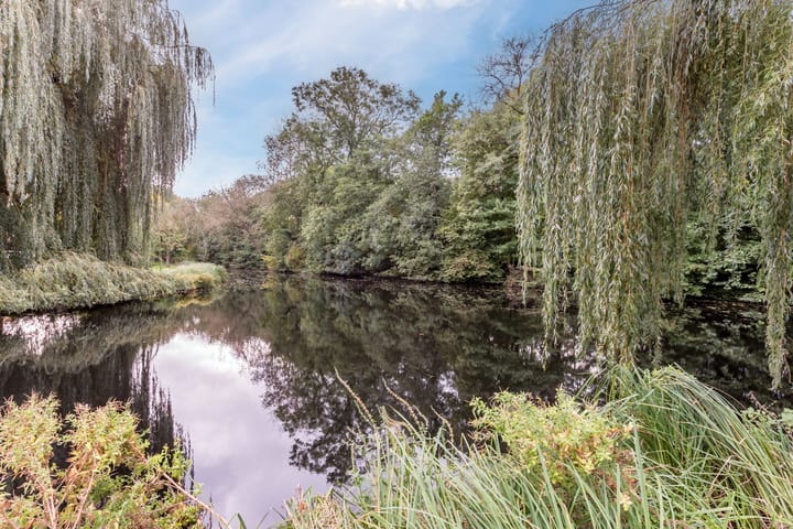 Foto 33 van Thamerhorn 41