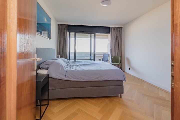 Foto 17 van Duinroos 65