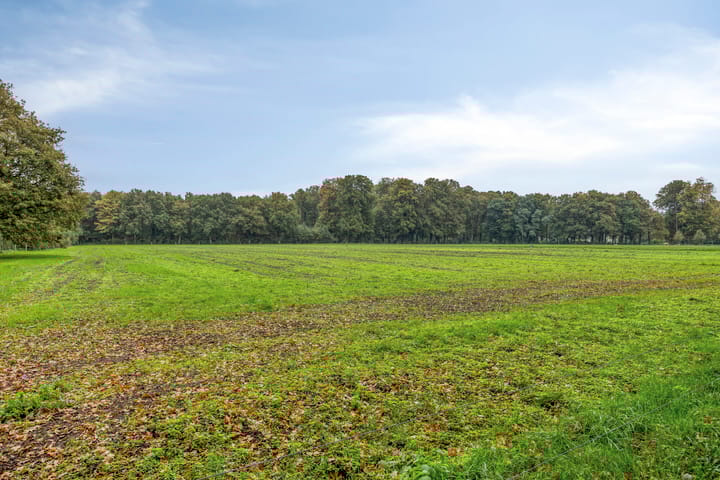 Foto 30 van Godefriduslaan 25