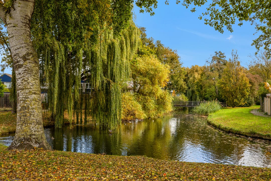 Photo 31 of Weyerland 105