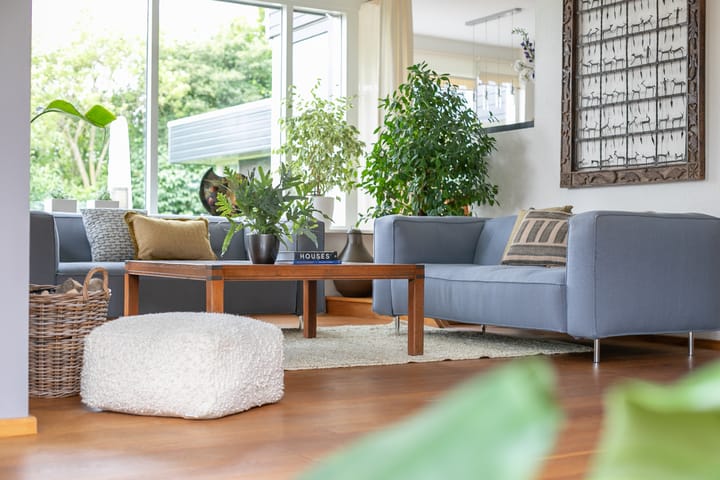 Foto 8 van Minkeloos 77