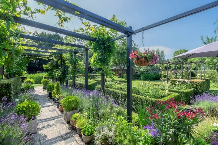 Foto 24 van Minkeloos 77