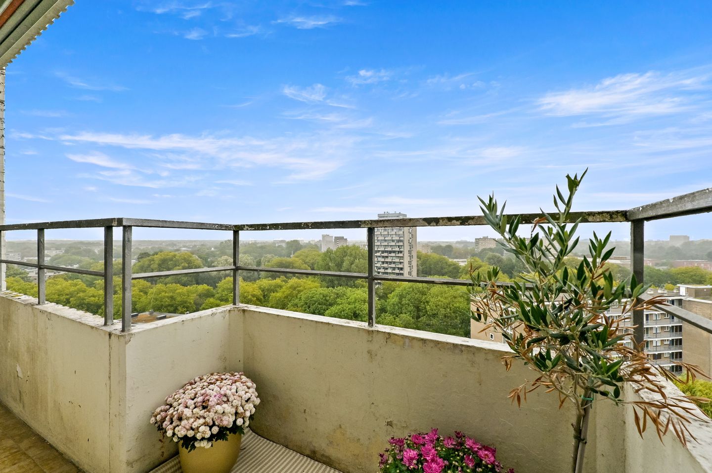 Photo 19 of Roggekamp 629