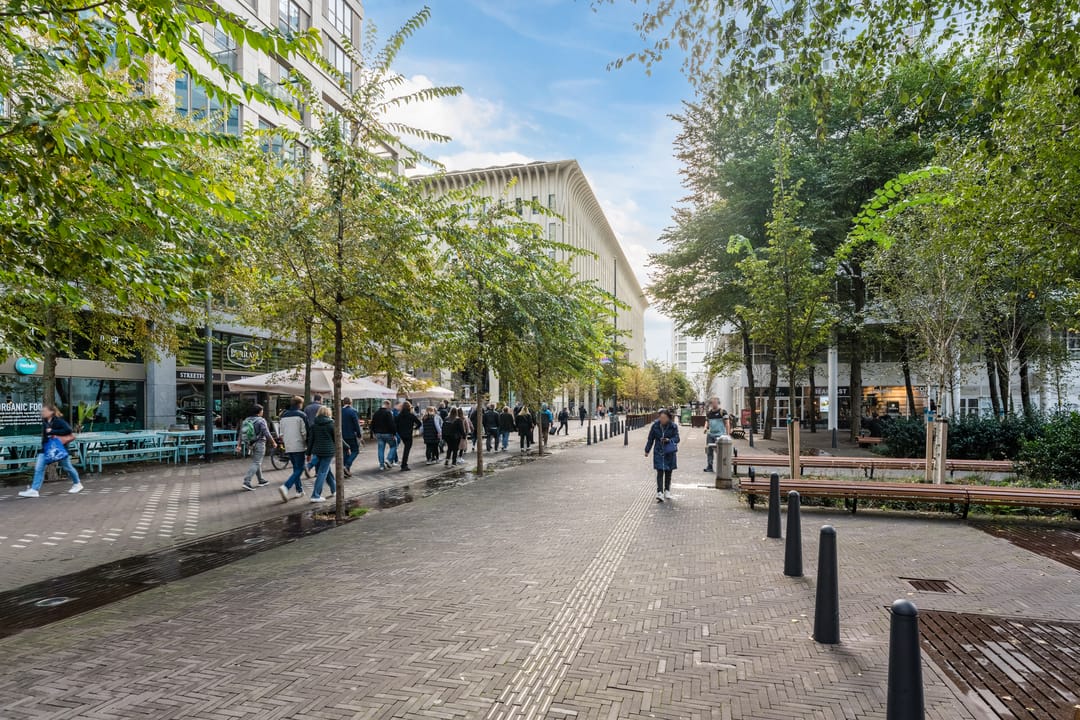 Foto 38 van Lage Zand 310