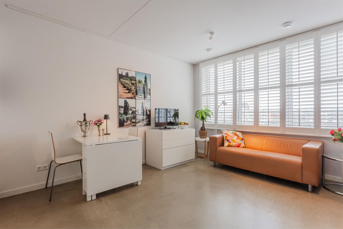 Foto 4 van Rinus Michelslaan 159