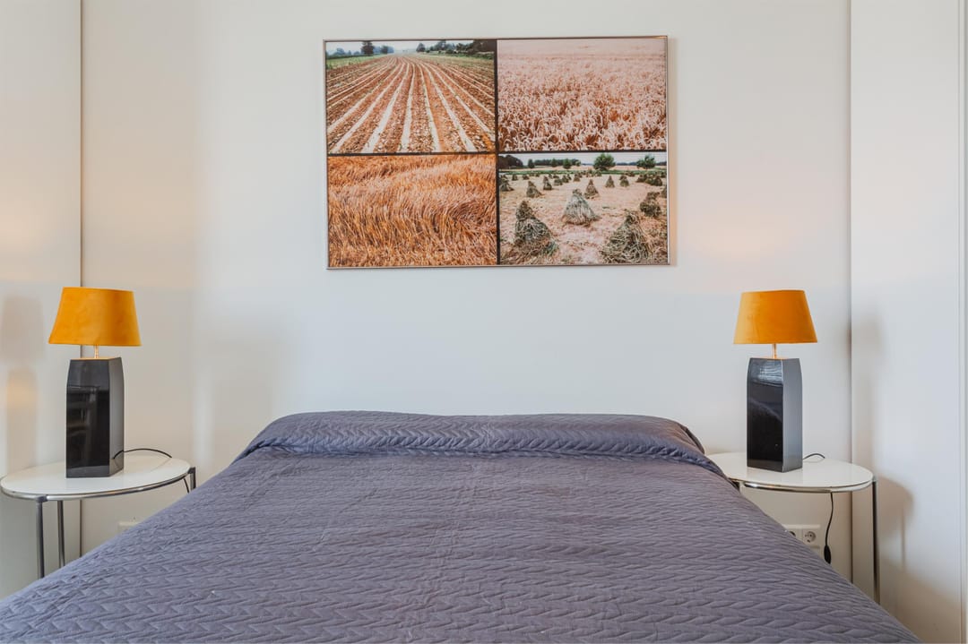 Foto 13 van Rinus Michelslaan 159