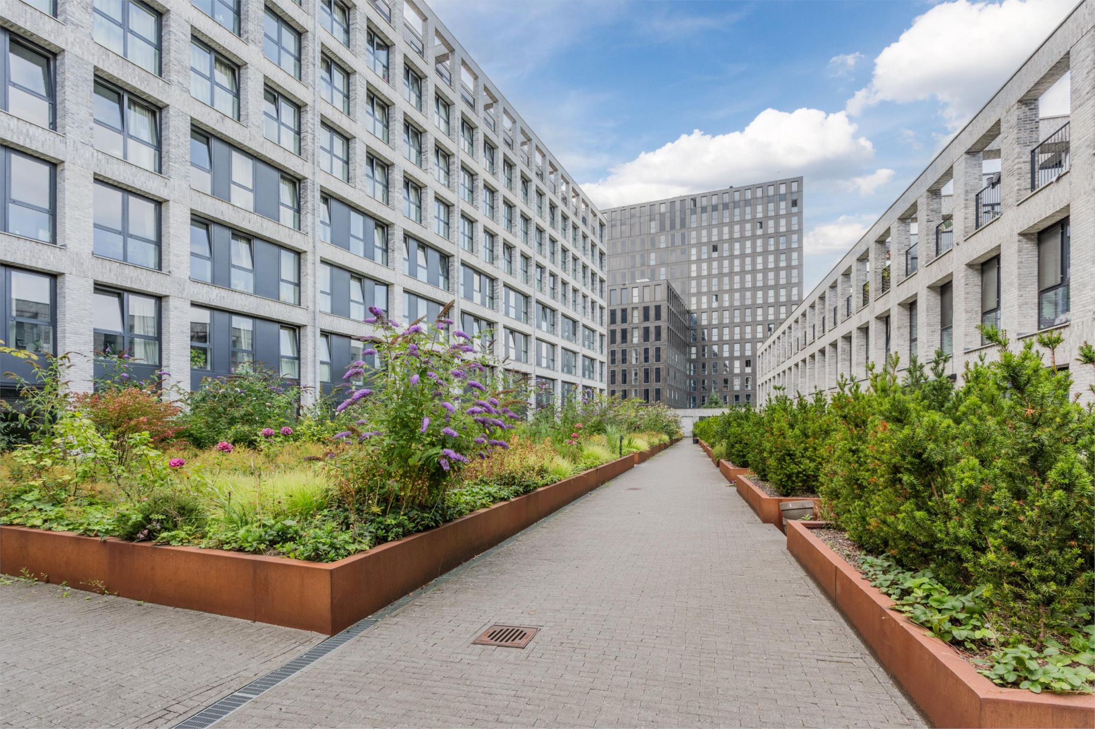 Foto 33 van Rinus Michelslaan 159