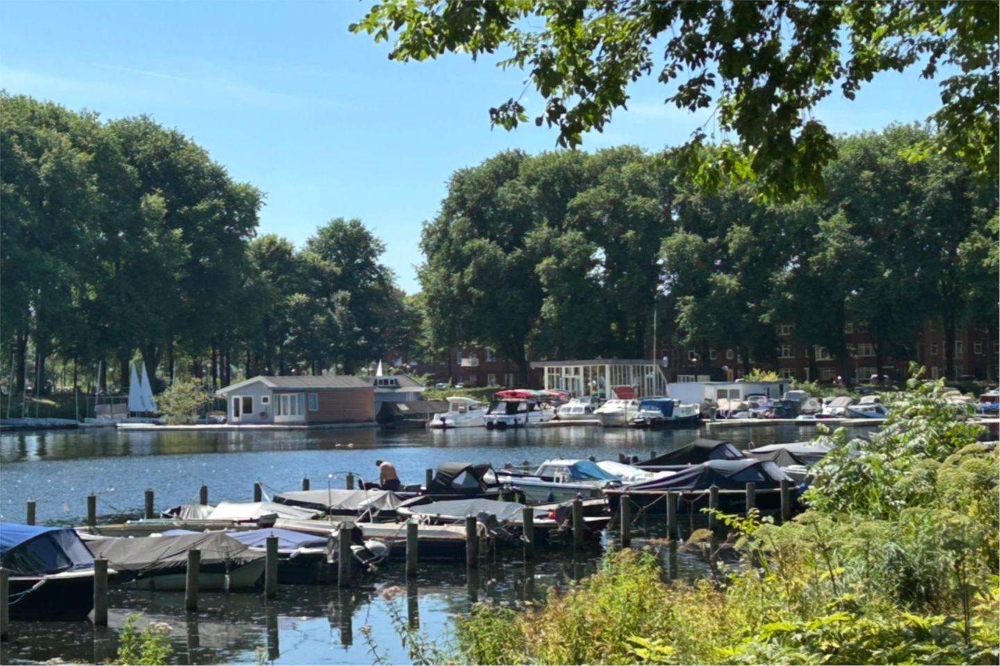 Foto 40 van Rinus Michelslaan 159