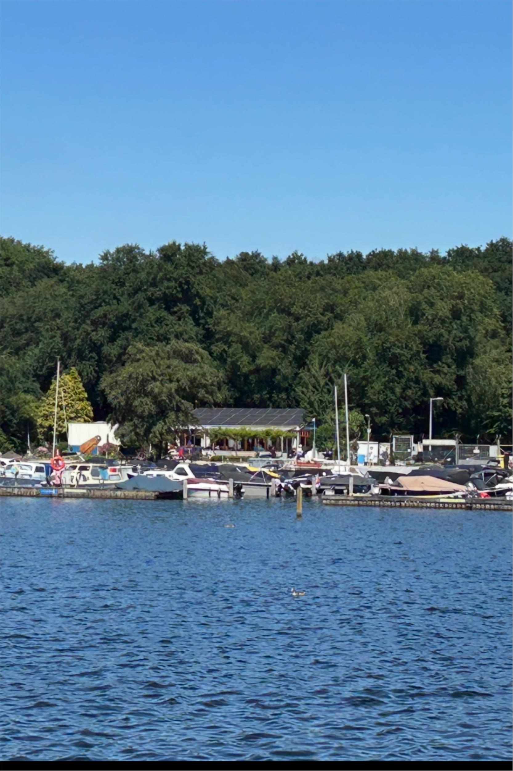 Foto 42 van Rinus Michelslaan 159