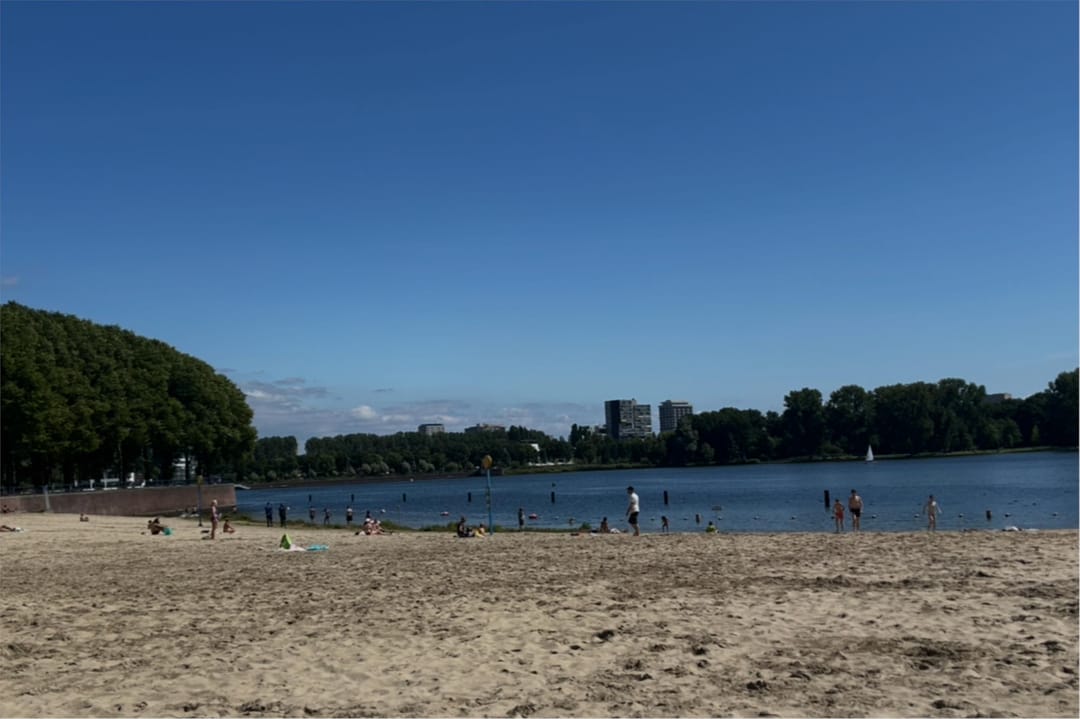 Foto 43 van Rinus Michelslaan 159