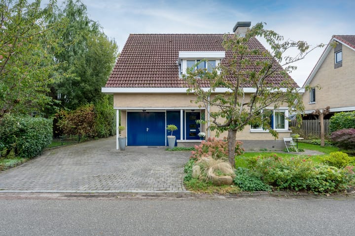 Foto 34 van Robijndreef 17