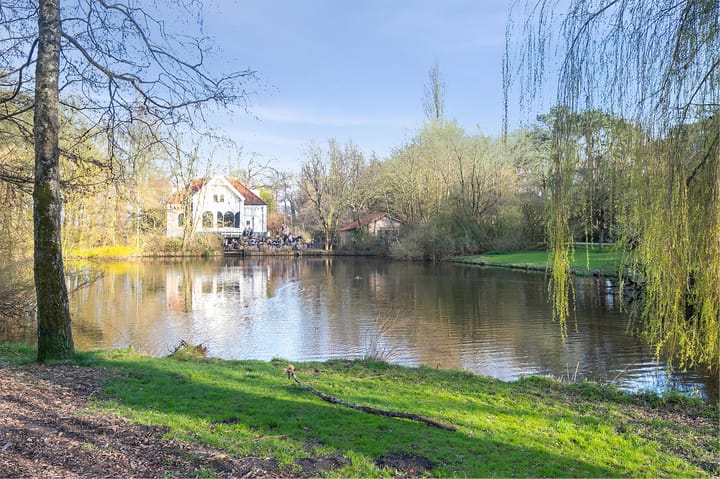 Foto 32 van Soembawastraat 65-C