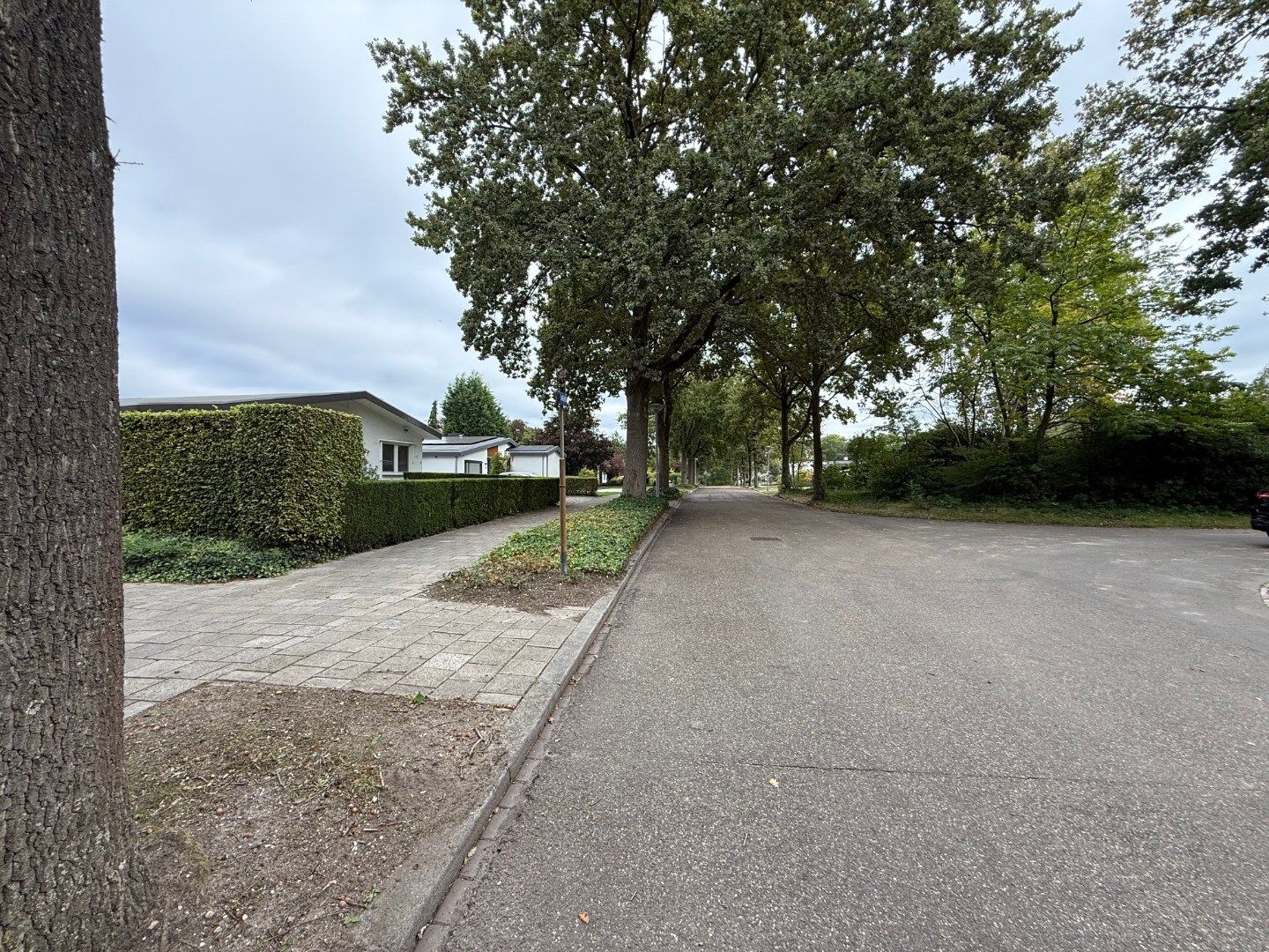 Foto 29 van Lavendelweg 12