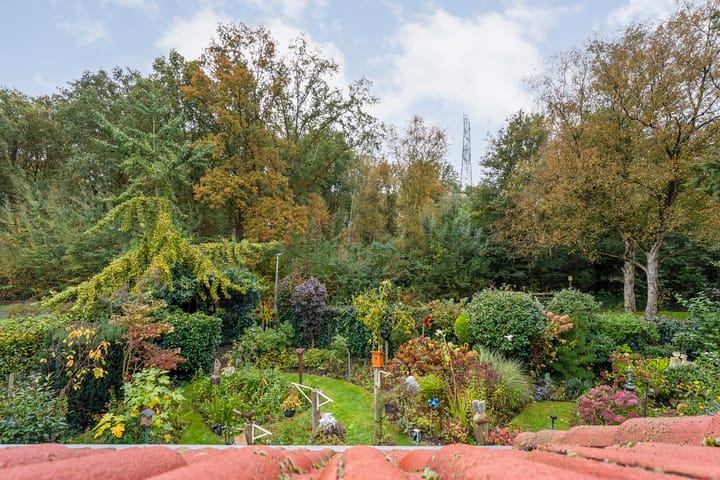 Foto 31 van De Oeverzwaluw 9