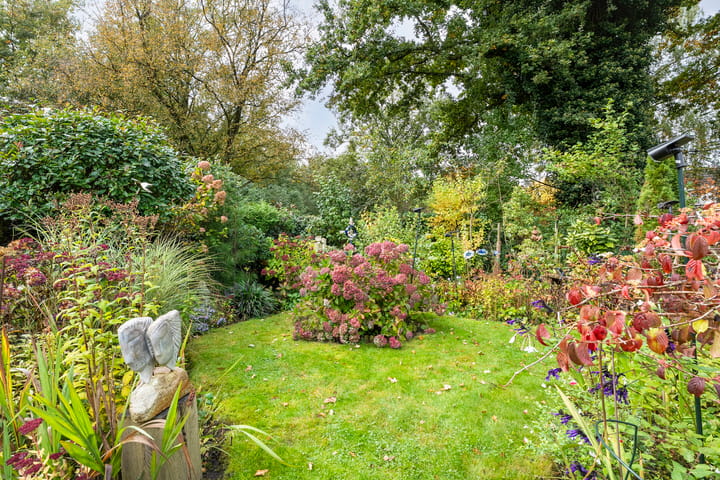 Foto 35 van De Oeverzwaluw 9