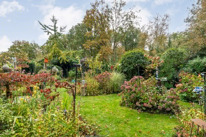 Foto 37 van De Oeverzwaluw 9