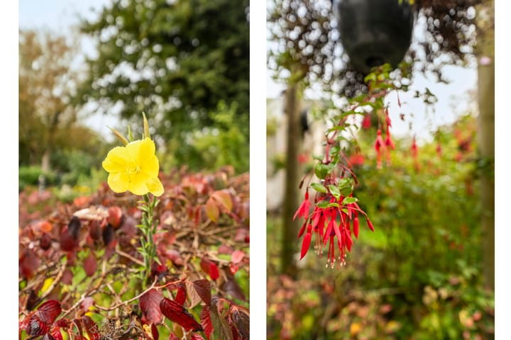 Foto 39 van De Oeverzwaluw 9