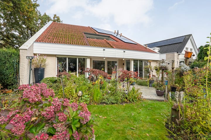 Foto 40 van De Oeverzwaluw 9