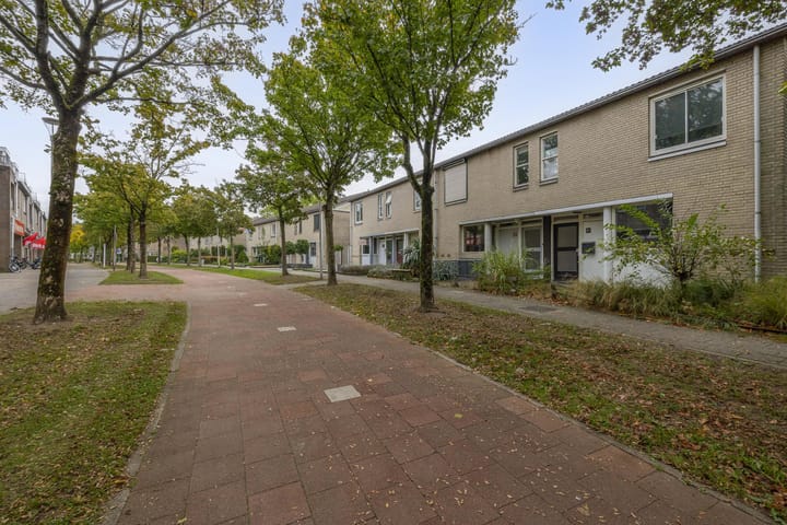 Photo 29 of Karekiet 49