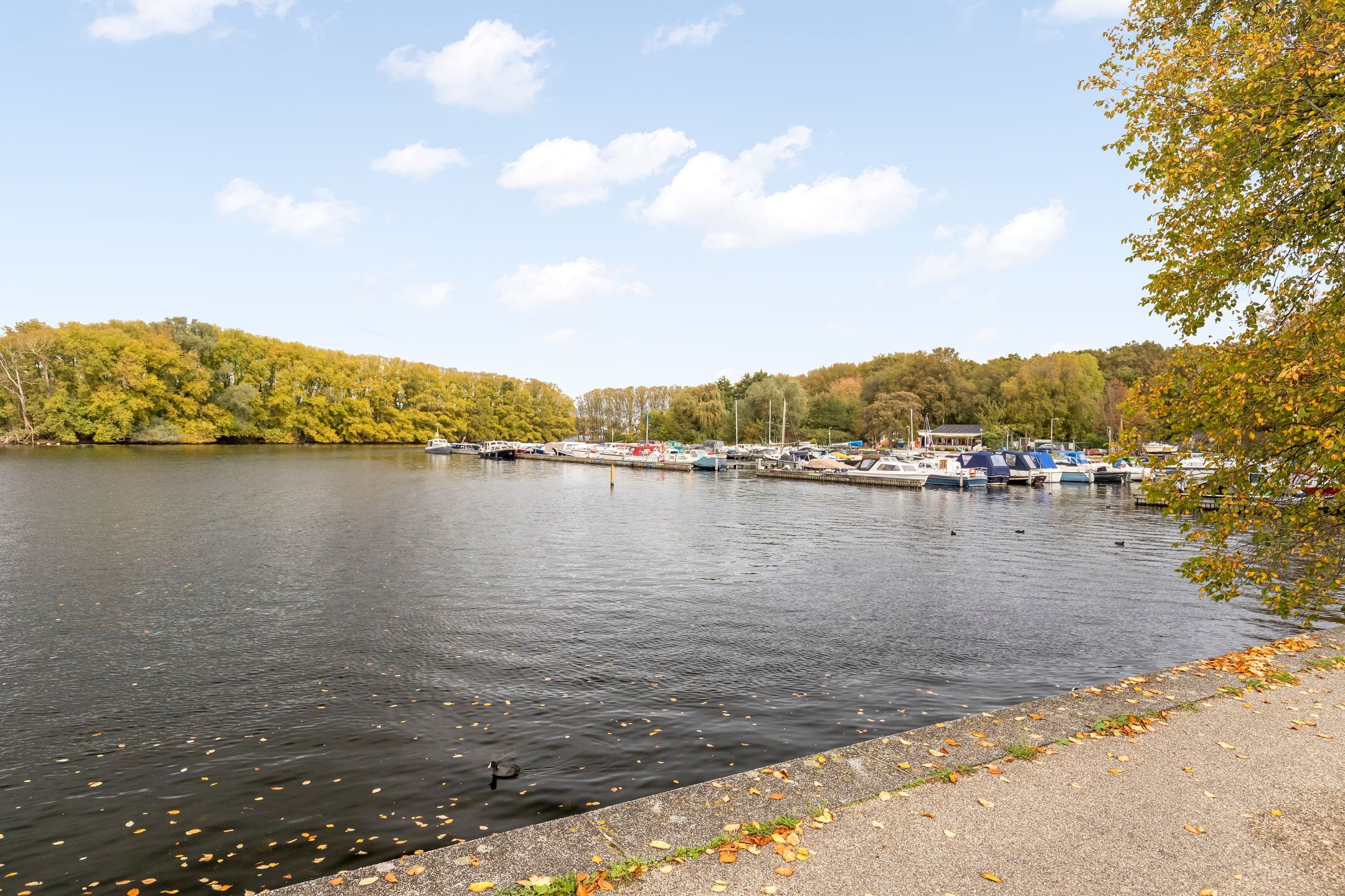 Foto 33 van Eastonstraat 137