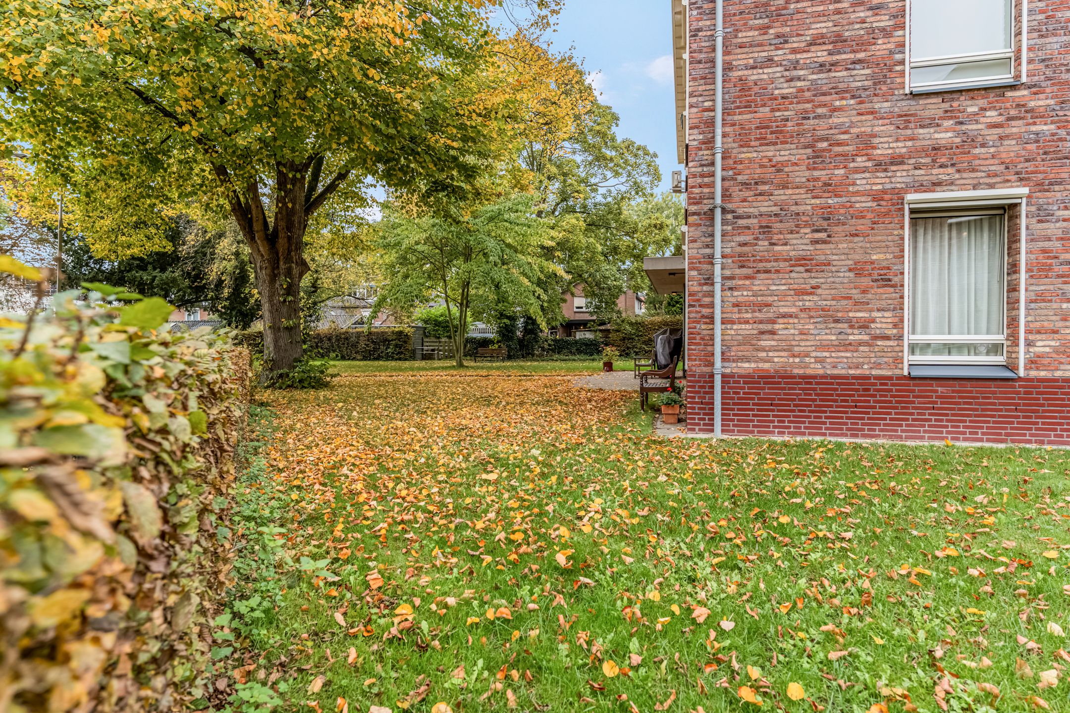 Photo 42 of Blauwe Hoek 32