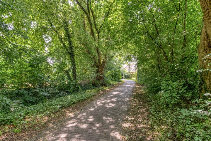 Foto 24 van Reuvekamp 24