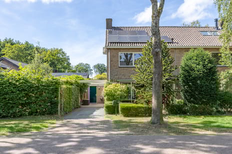 undefined main image