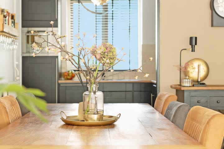 Foto 4 van Kolibrievlinder 14