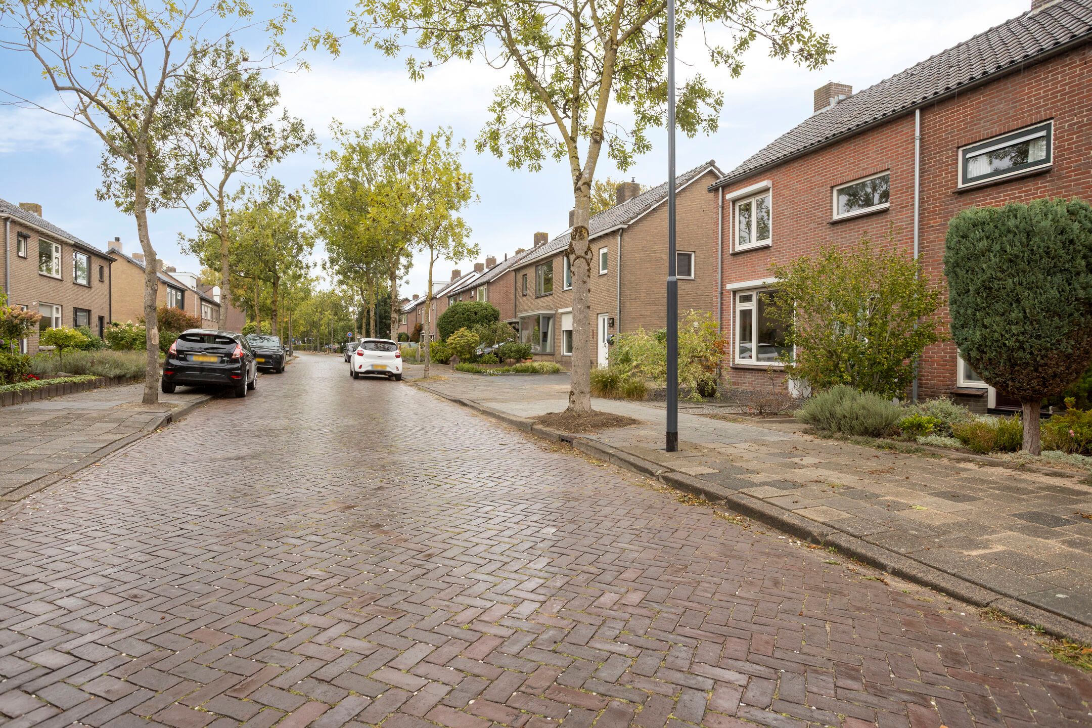 Foto 33 van Lange Vore 45