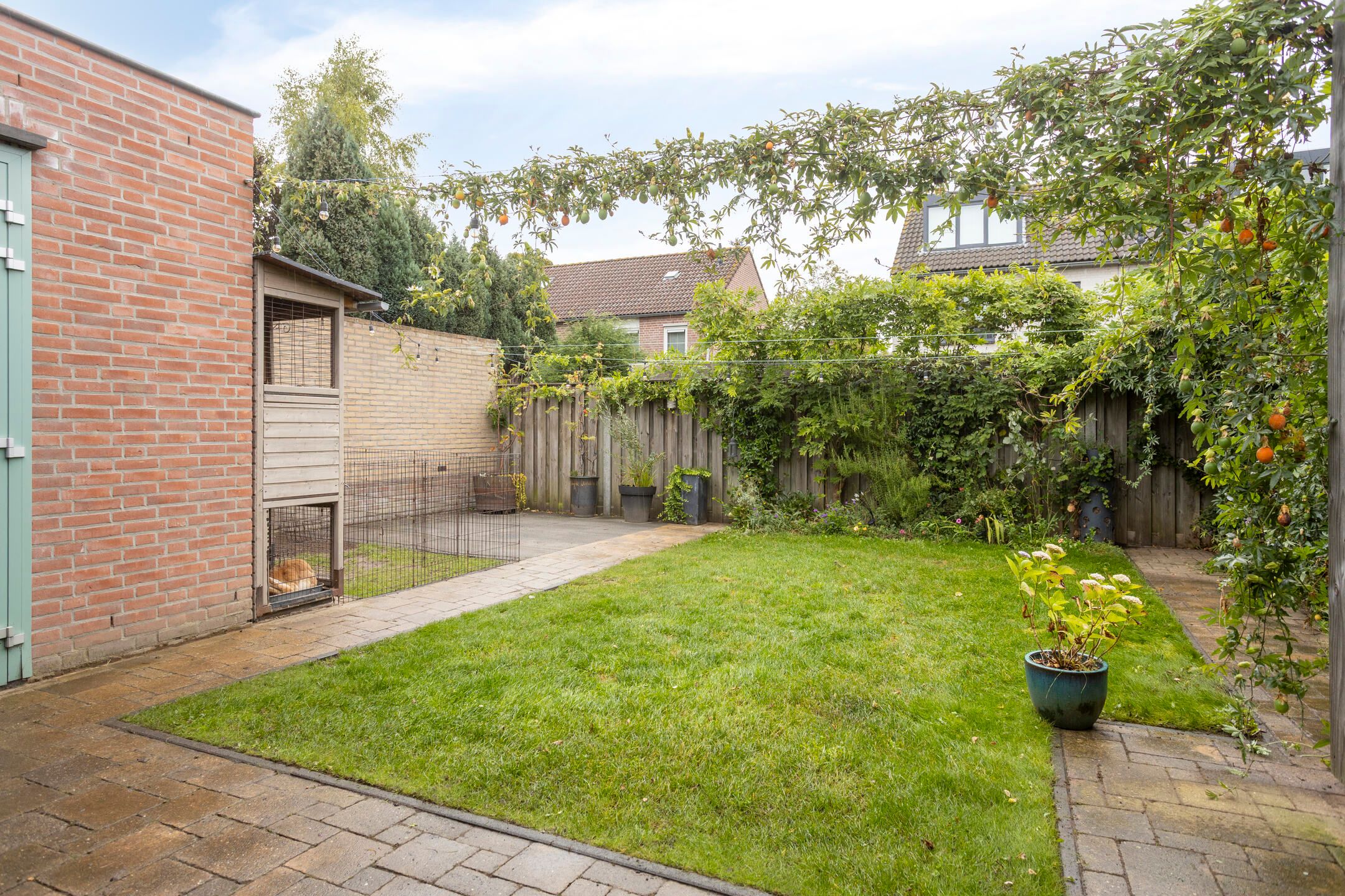 Foto 27 van Lange Vore 45