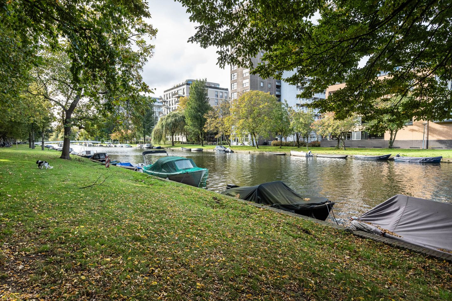 Photo 25 of Westlandgracht 151-3