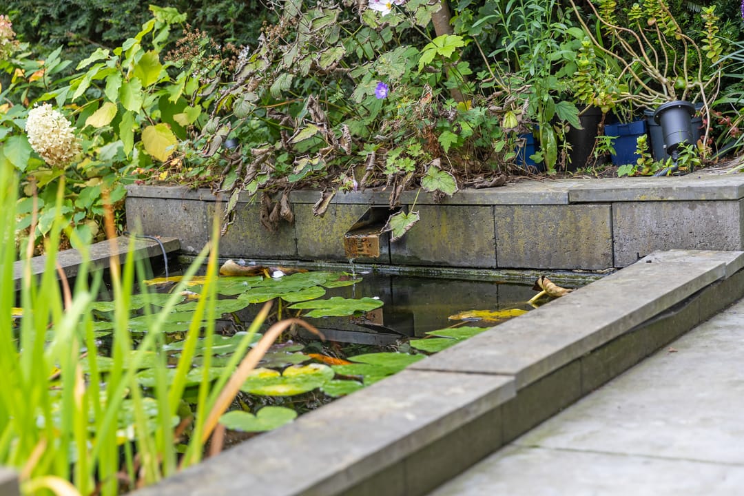 Foto 58 van Klarissenstraat 9