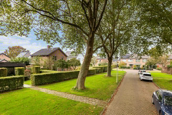 Foto 2 van Goeman Borgesiuslaan 1