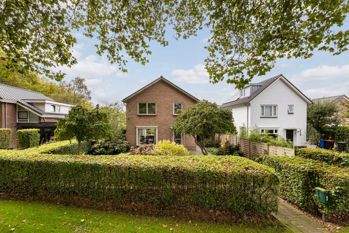 Foto 3 van Goeman Borgesiuslaan 1