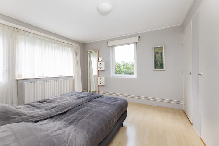 Foto 23 van Goeman Borgesiuslaan 1